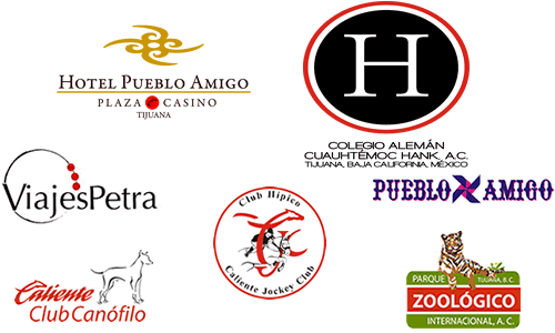 938e23 2b89d1677bda4363a0b8f23963f92aec~mv2